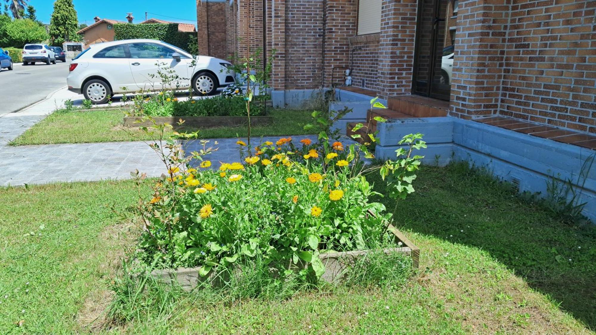 Casa Grande Con Jardin
